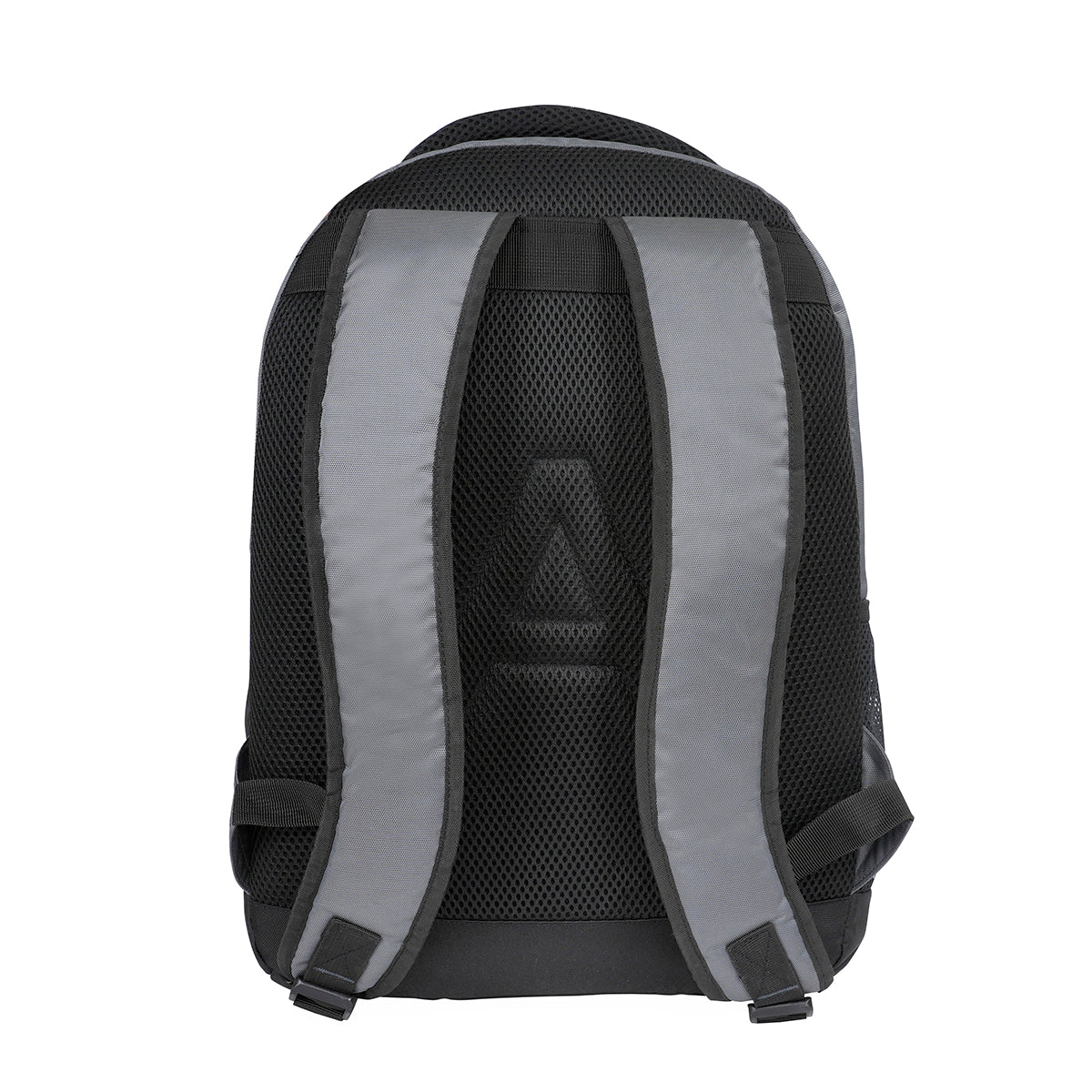 Aeropostale Leighton Non Laptop Backpack Grey