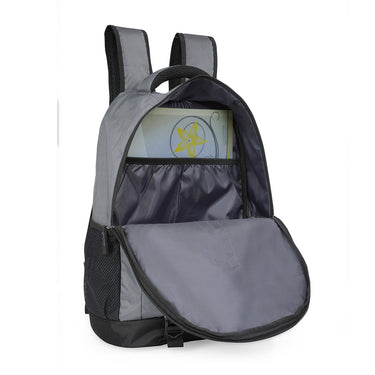 Aeropostale Leighton Non Laptop Backpack Grey